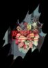 Arne_Wastyn_Arne_Wastyn_Do not watch