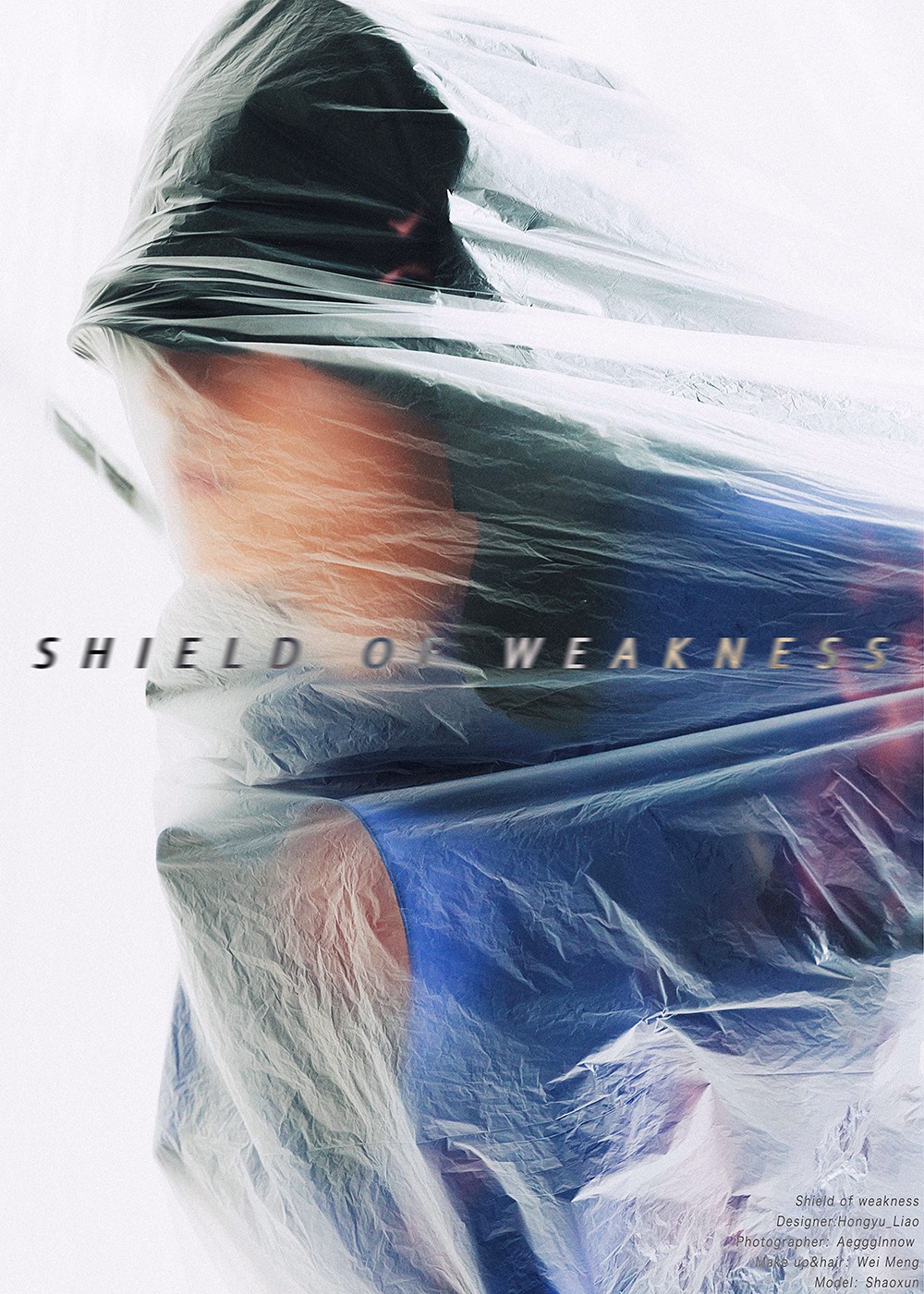 Hongyu _Liao_Hongyu-Liao-Shield of Weakness