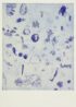 Jolien_Collen_Jolien-Collen-Frisuur