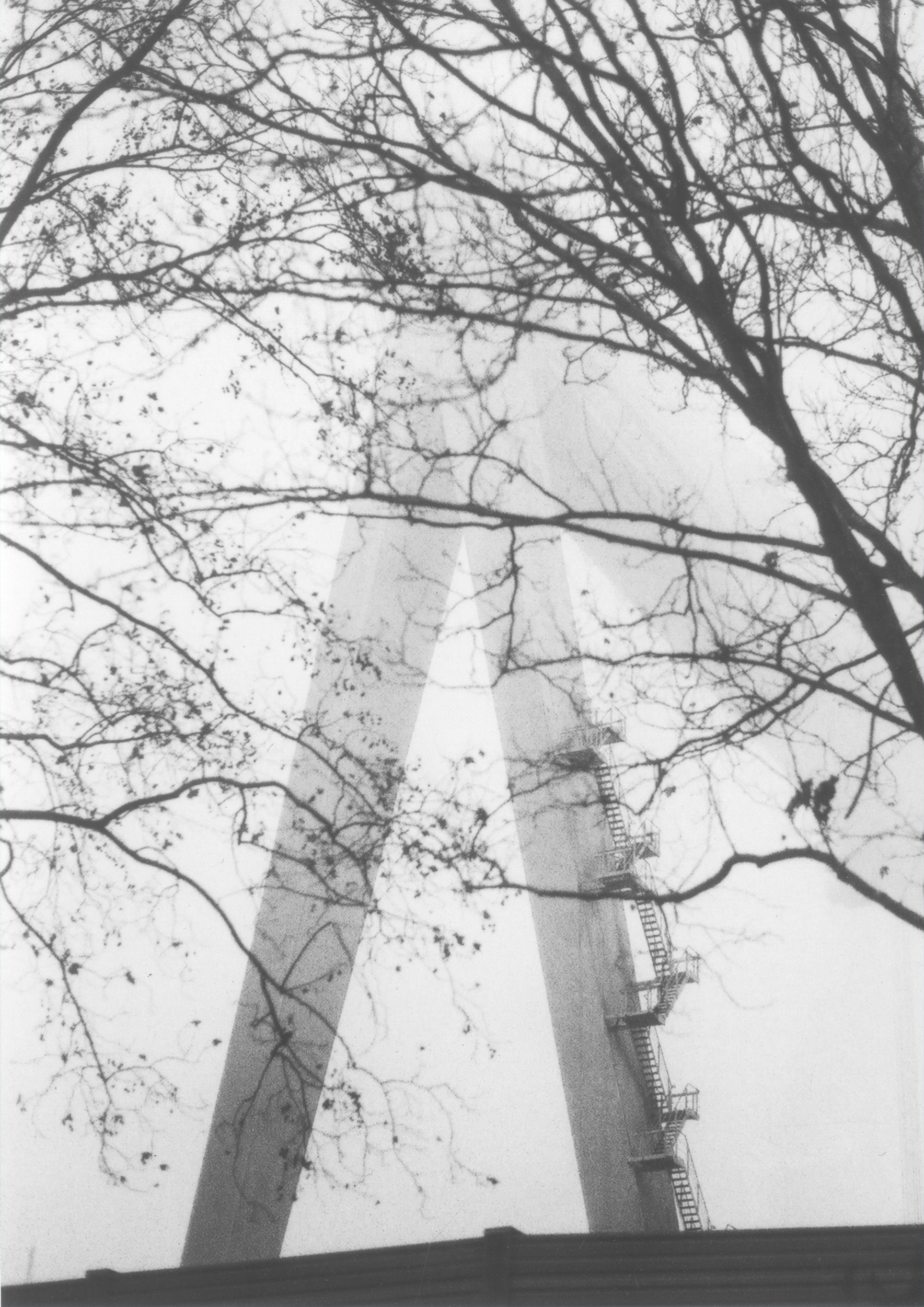 CharlotteNiemannTitan-880b97b0b10489216fcb2890ad125ed7.jpg