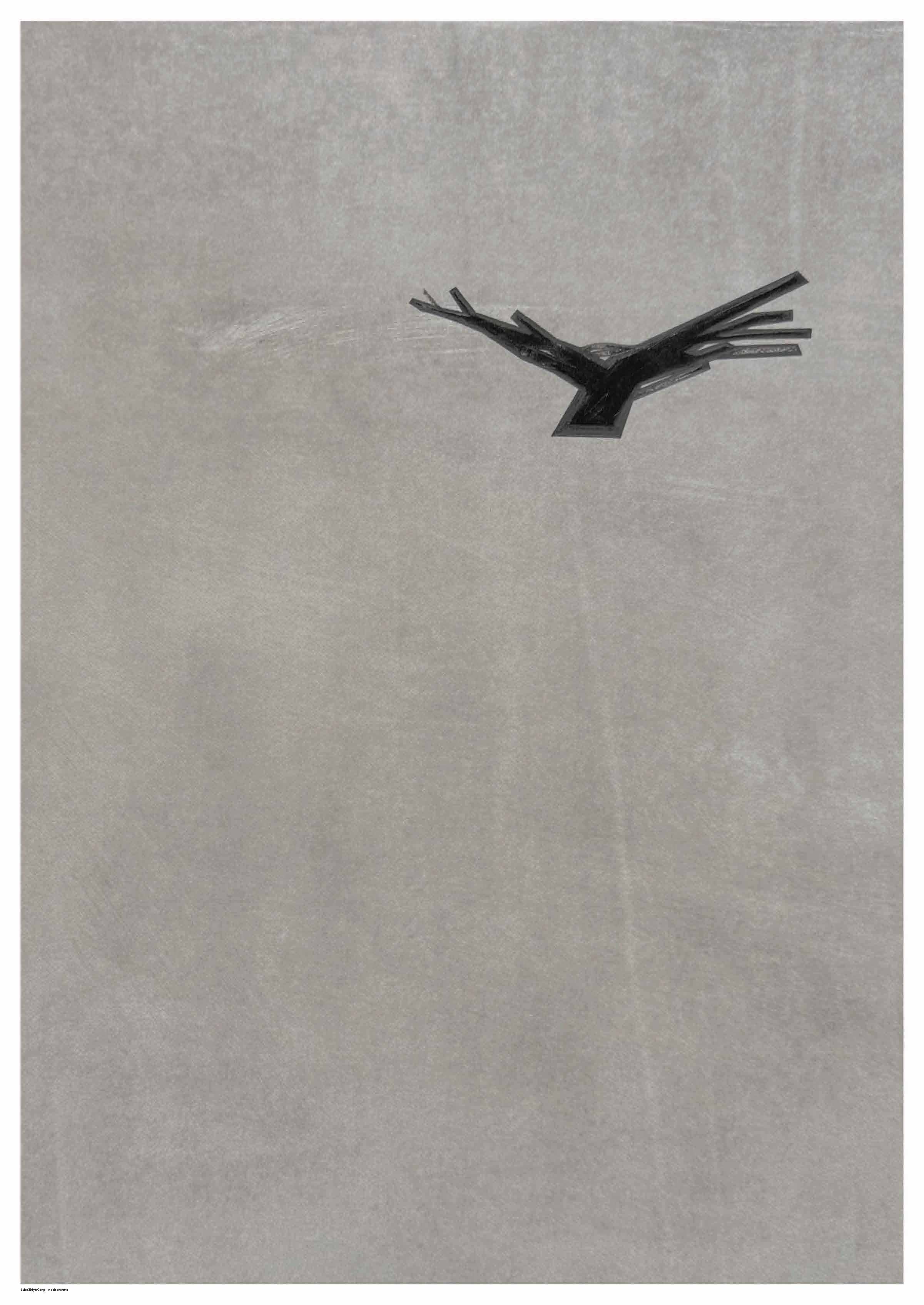 Luke Zhiyu Cong