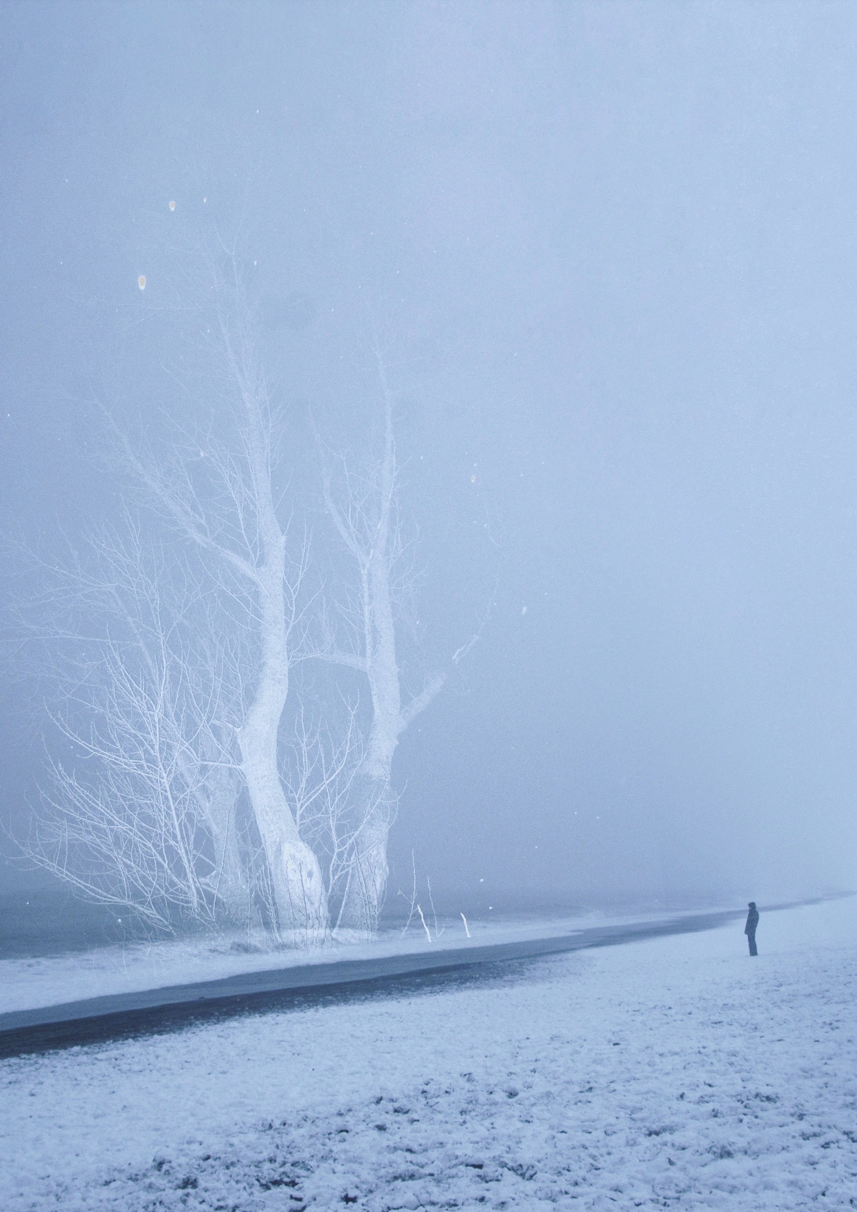 Tianjun_Li_Today-Tomorrow-and-the-Tales-from-the-Wind-446908461d30ae875379fb25b6ad3280.jpg